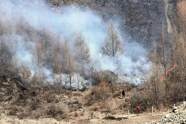 明火已撲滅，初步判斷由祭祀用火引發！今年已發生多起